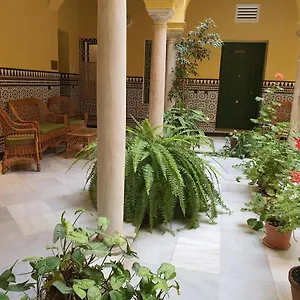 Centro Historico Solo Office , Sevilla Spanien